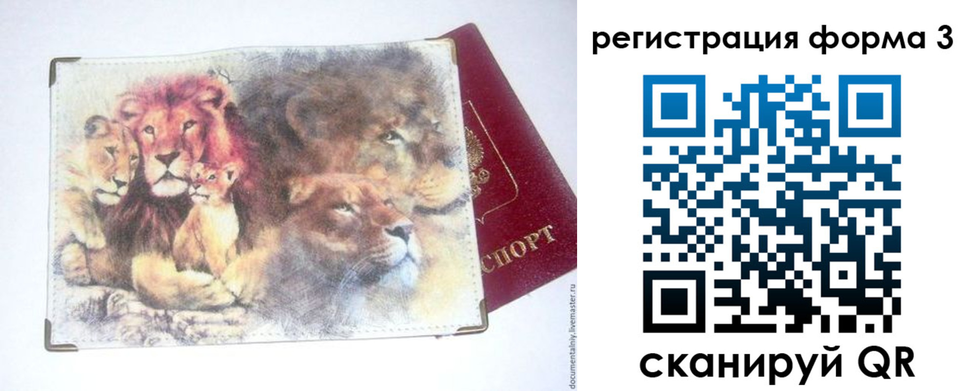 прописка в квартире в Малой Вишере